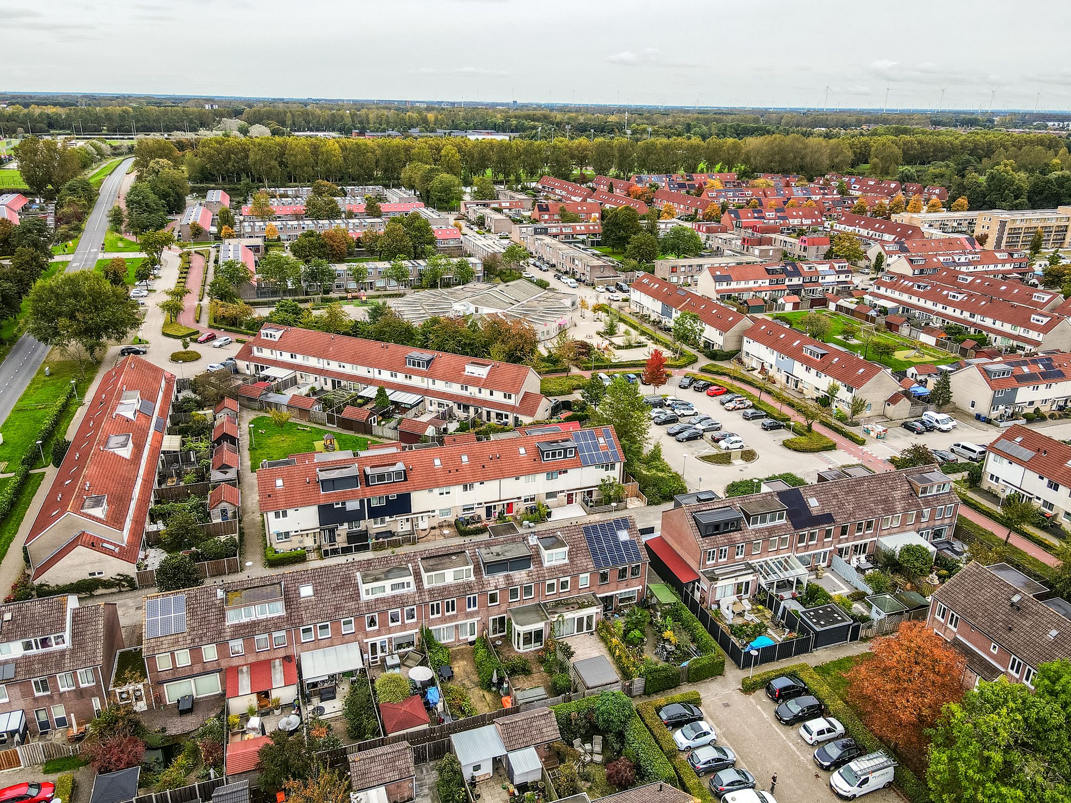 Foto 36 van Dolfijnpad 4