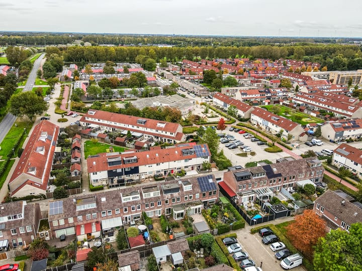 Foto 36 van Dolfijnpad 4