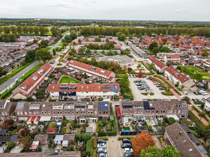 Foto 37 van Dolfijnpad 4