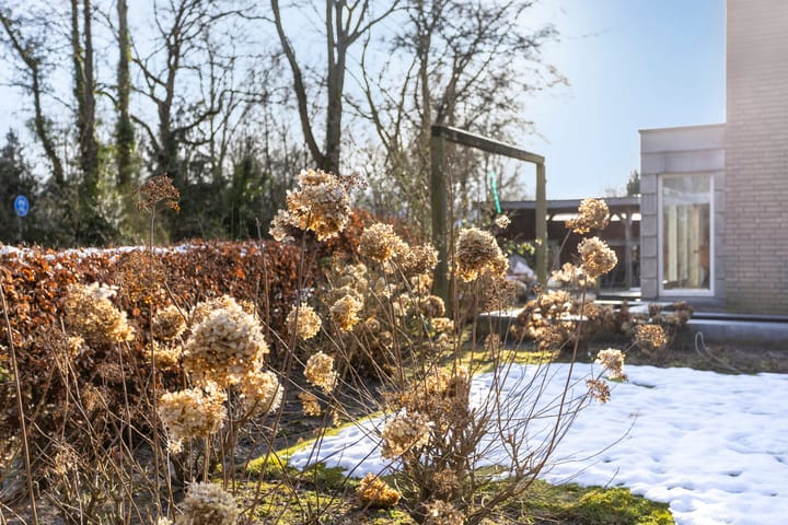 Foto 44 van Schieland 39