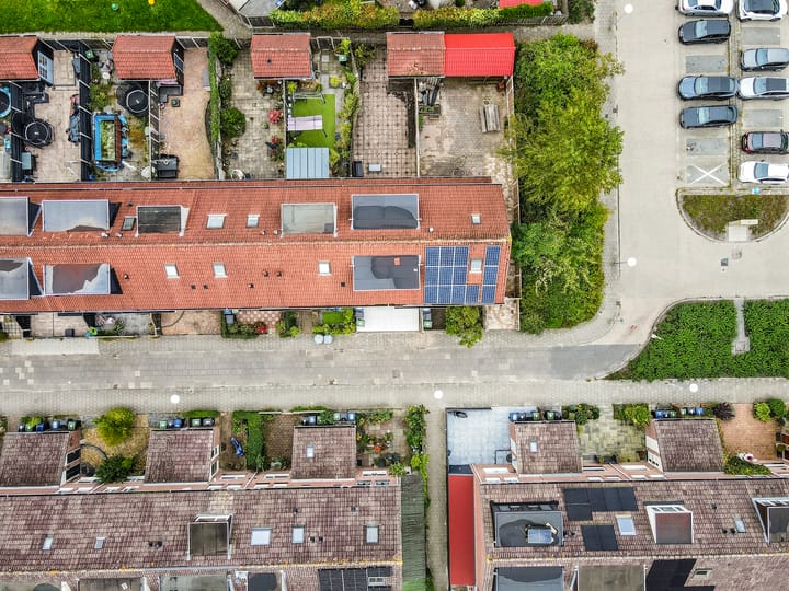 Foto 38 van Dolfijnpad 4