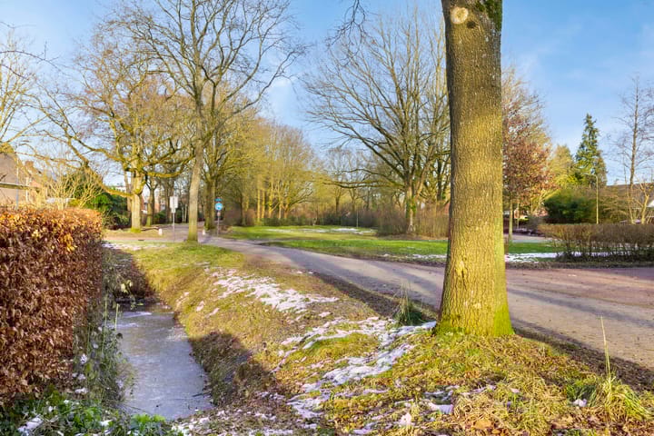 Foto 60 van Schieland 39