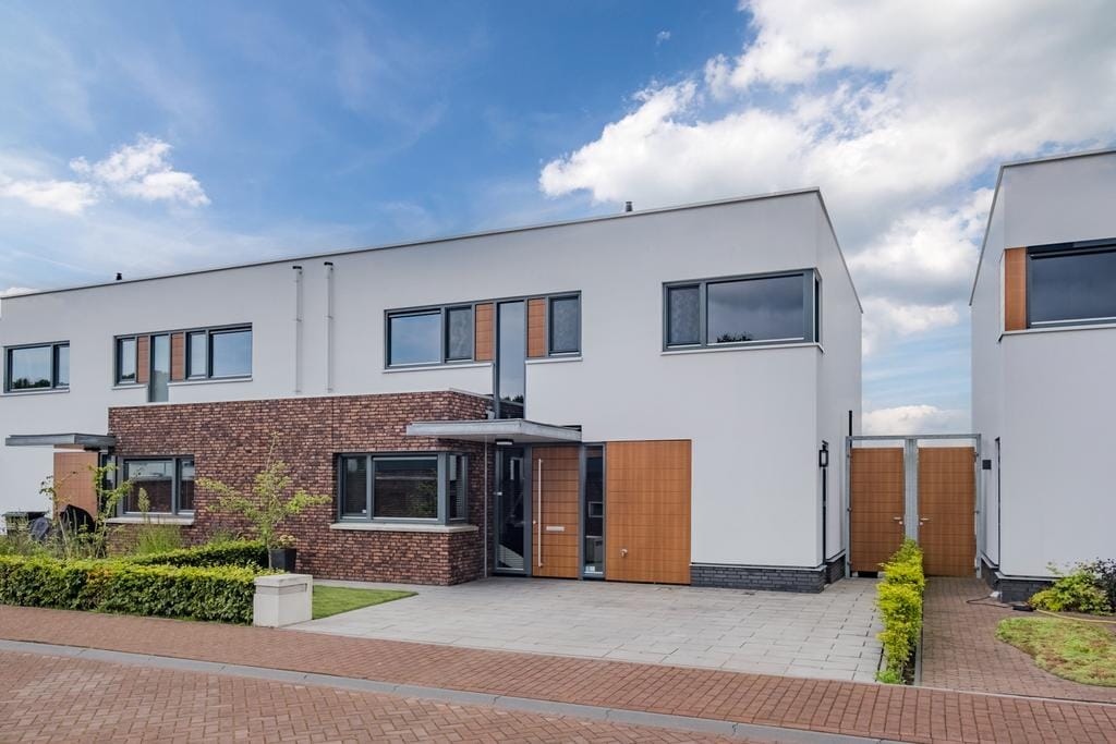 Foto 1 van Oeverzwaluw 21