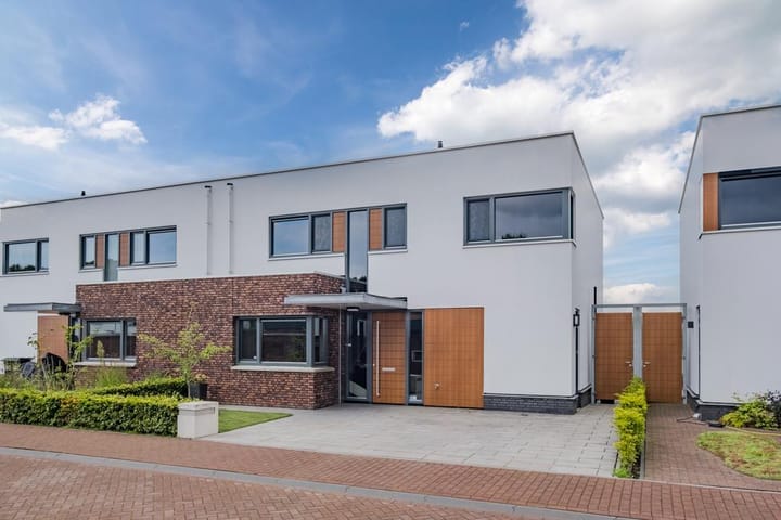 Foto 1 van Oeverzwaluw 21