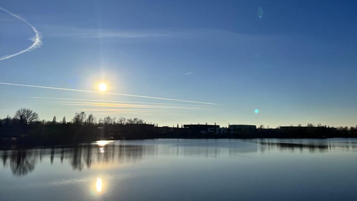 Foto 3 van Oeverzwaluw 21