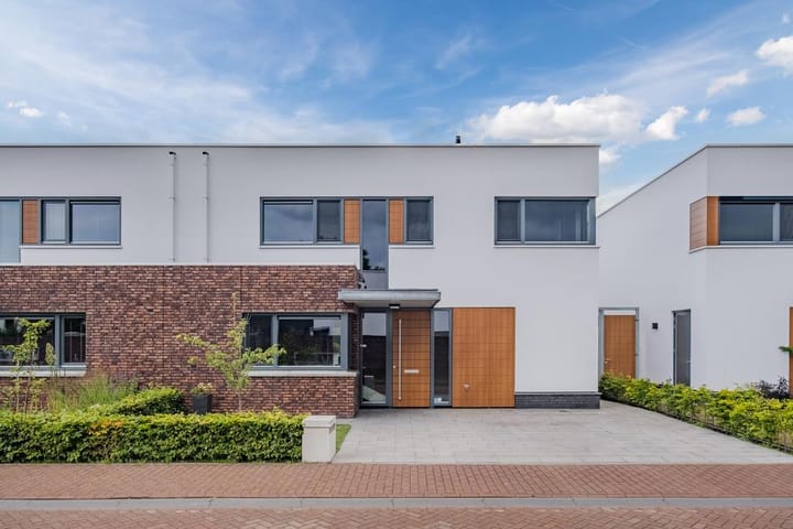 Foto 37 van Oeverzwaluw 21