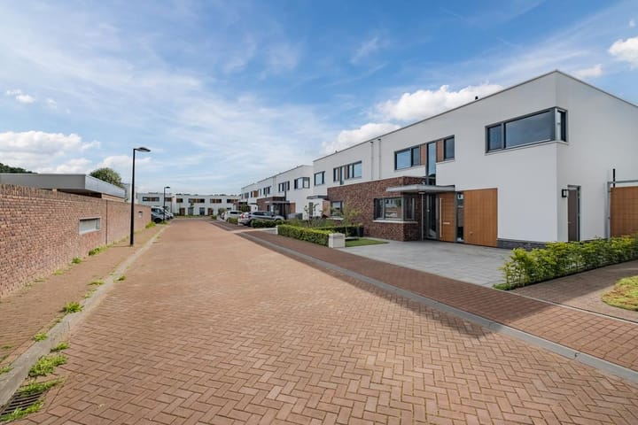 Foto 39 van Oeverzwaluw 21