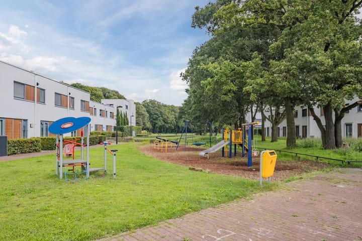 Foto 40 van Oeverzwaluw 21