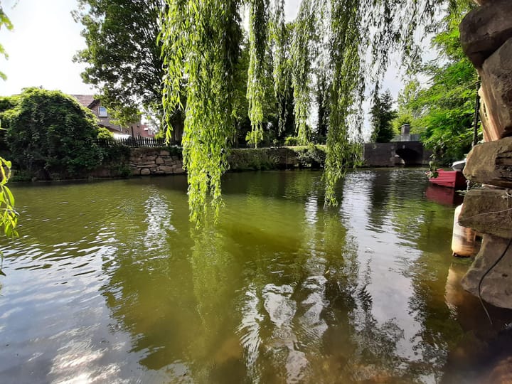 Foto 50 van Molenweg 52