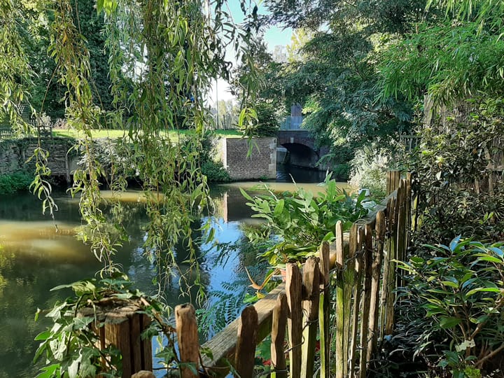 Foto 51 van Molenweg 52