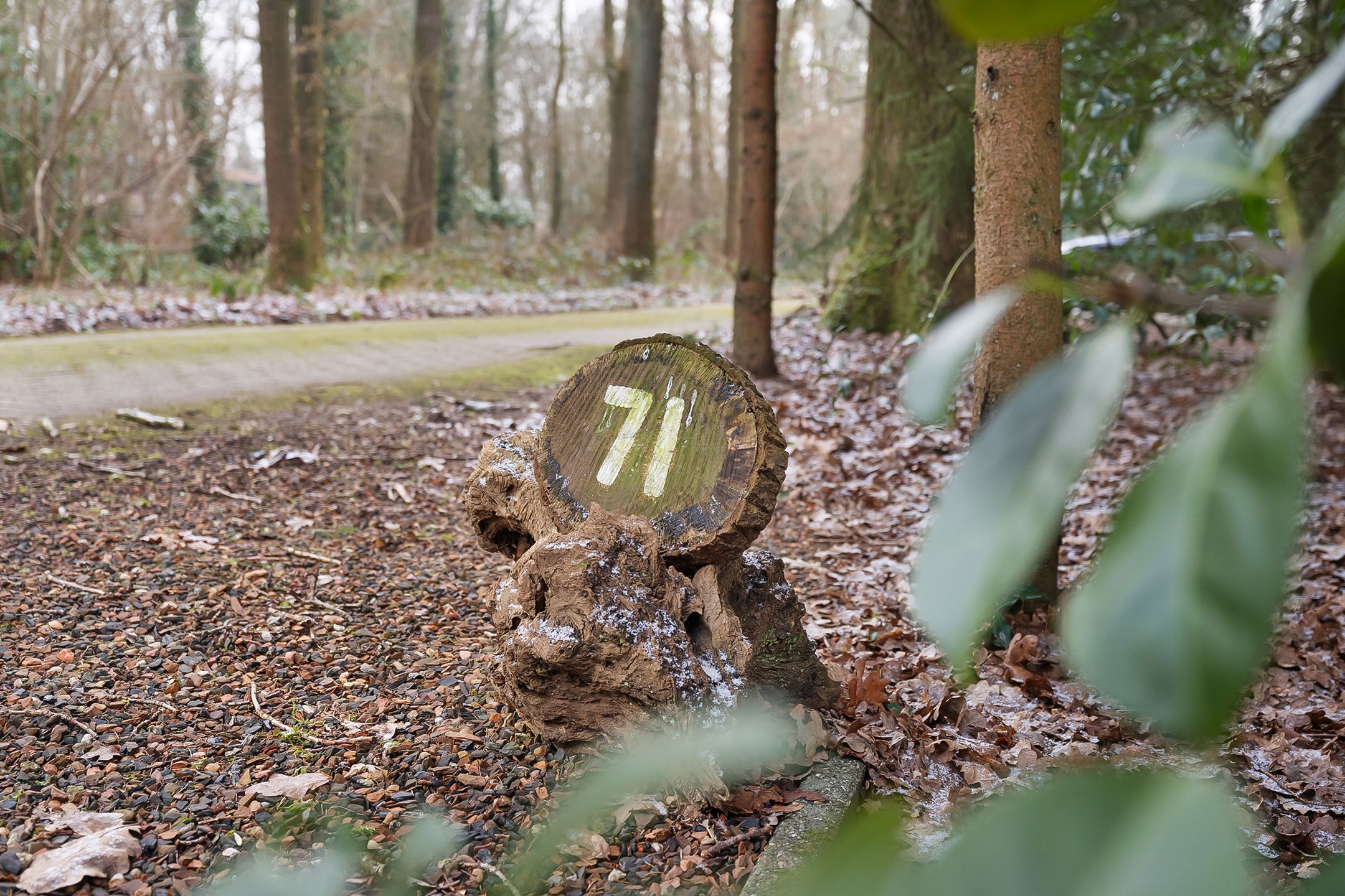 Foto 9 van Vilsterseweg 1-A71