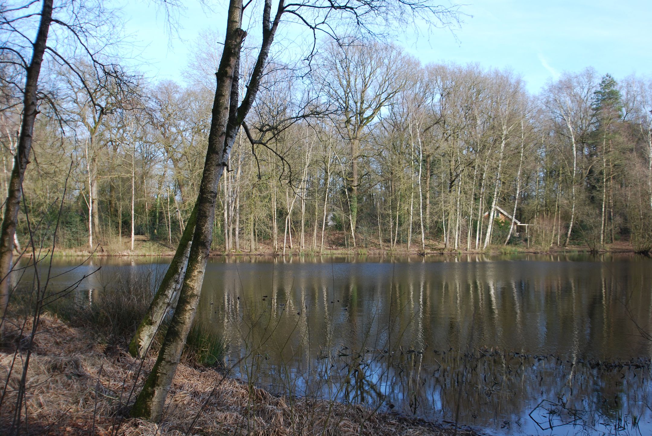 Foto 51 van Vilsterseweg 1-A71