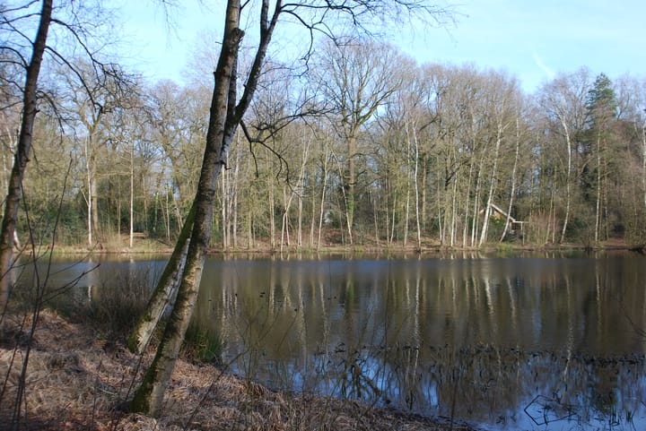 Foto 51 van Vilsterseweg 1-A71