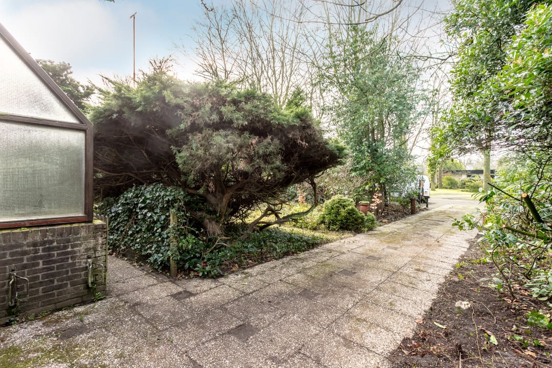 Foto 8 van Parnassialaan 12