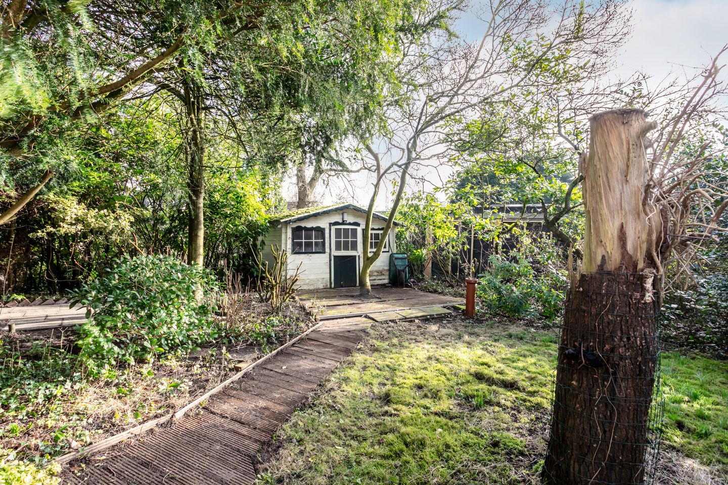 Foto 35 van Parnassialaan 12