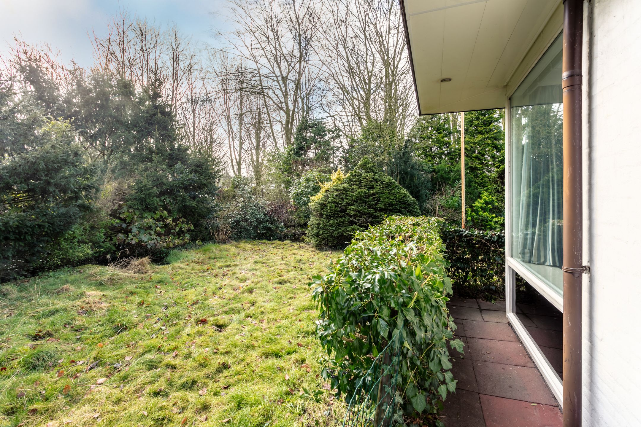 Foto 36 van Parnassialaan 12