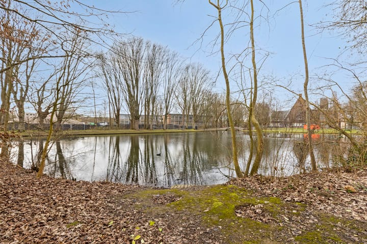 Foto 31 van Janey Tetarypad 30