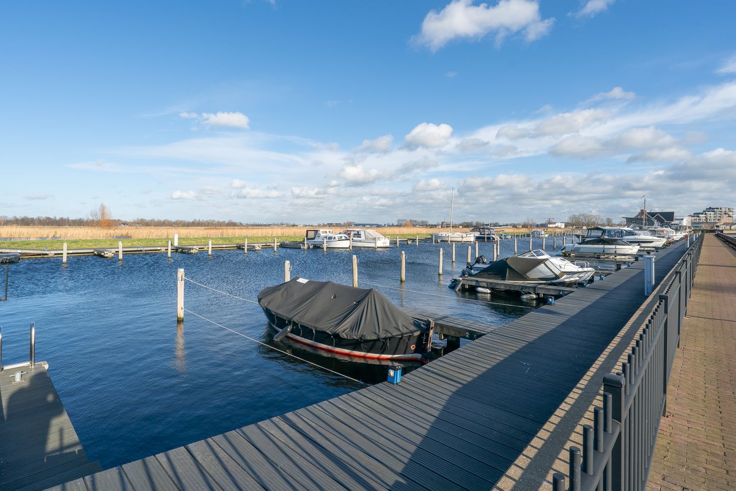 Foto 49 van Zuijder Vlaerdinge 56