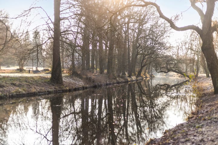 Foto 41 van Rubensstraat 53