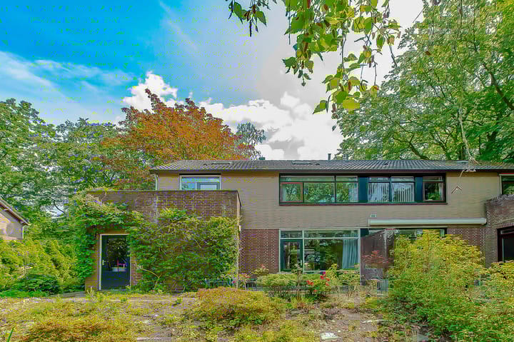 Foto 1 van Paracelsuslaan 8