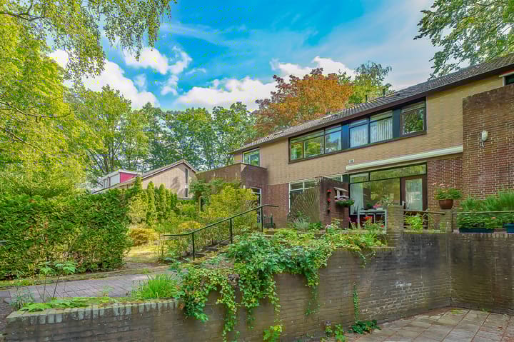 Foto 16 van Paracelsuslaan 8