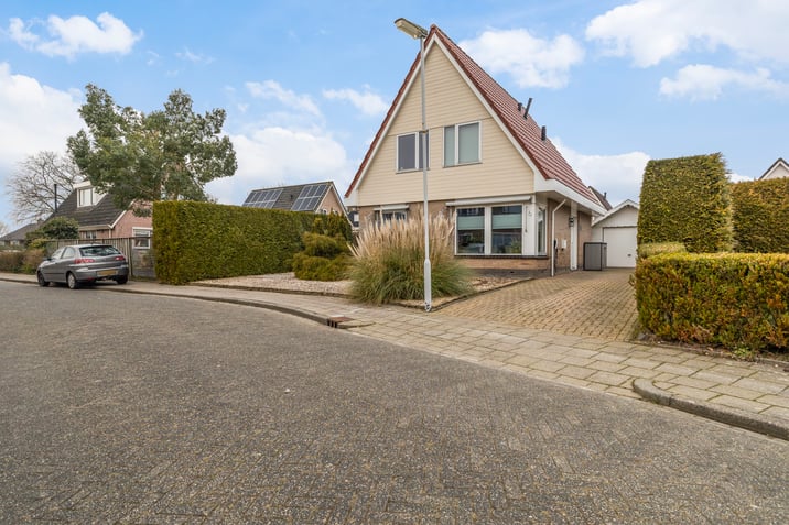 undefined main image