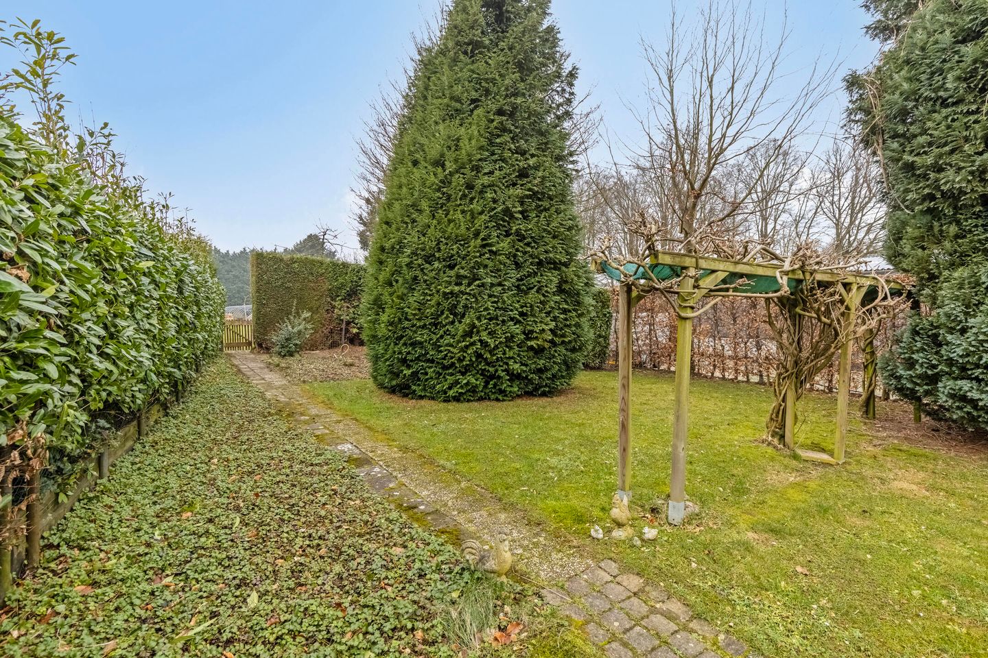 Foto 44 van Geverikerstraat 99