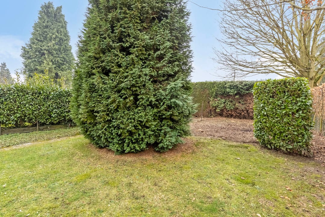 Foto 46 van Geverikerstraat 99