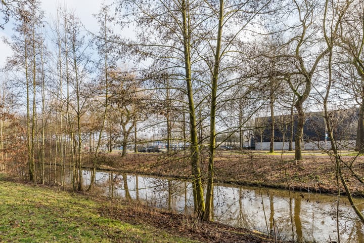 Foto 35 van Hornstraat 23