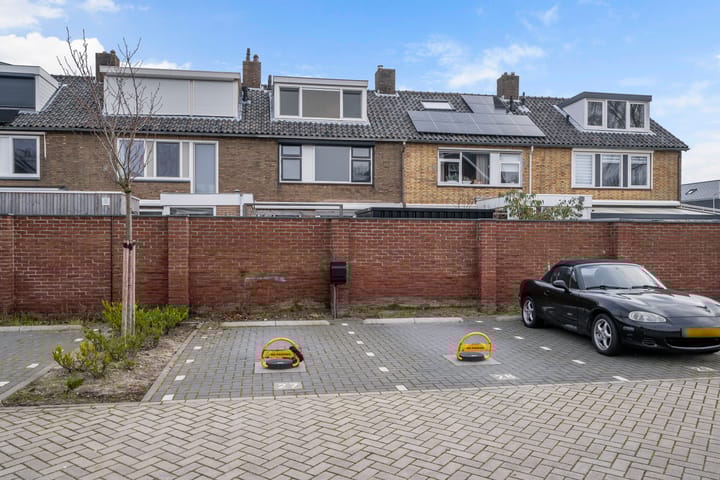 Foto 2 van Blauwe wijngaardrank 26