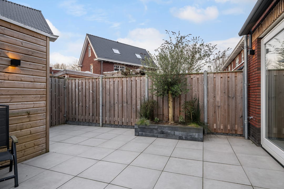 Photo 16 of Blauwe wijngaardrank 26