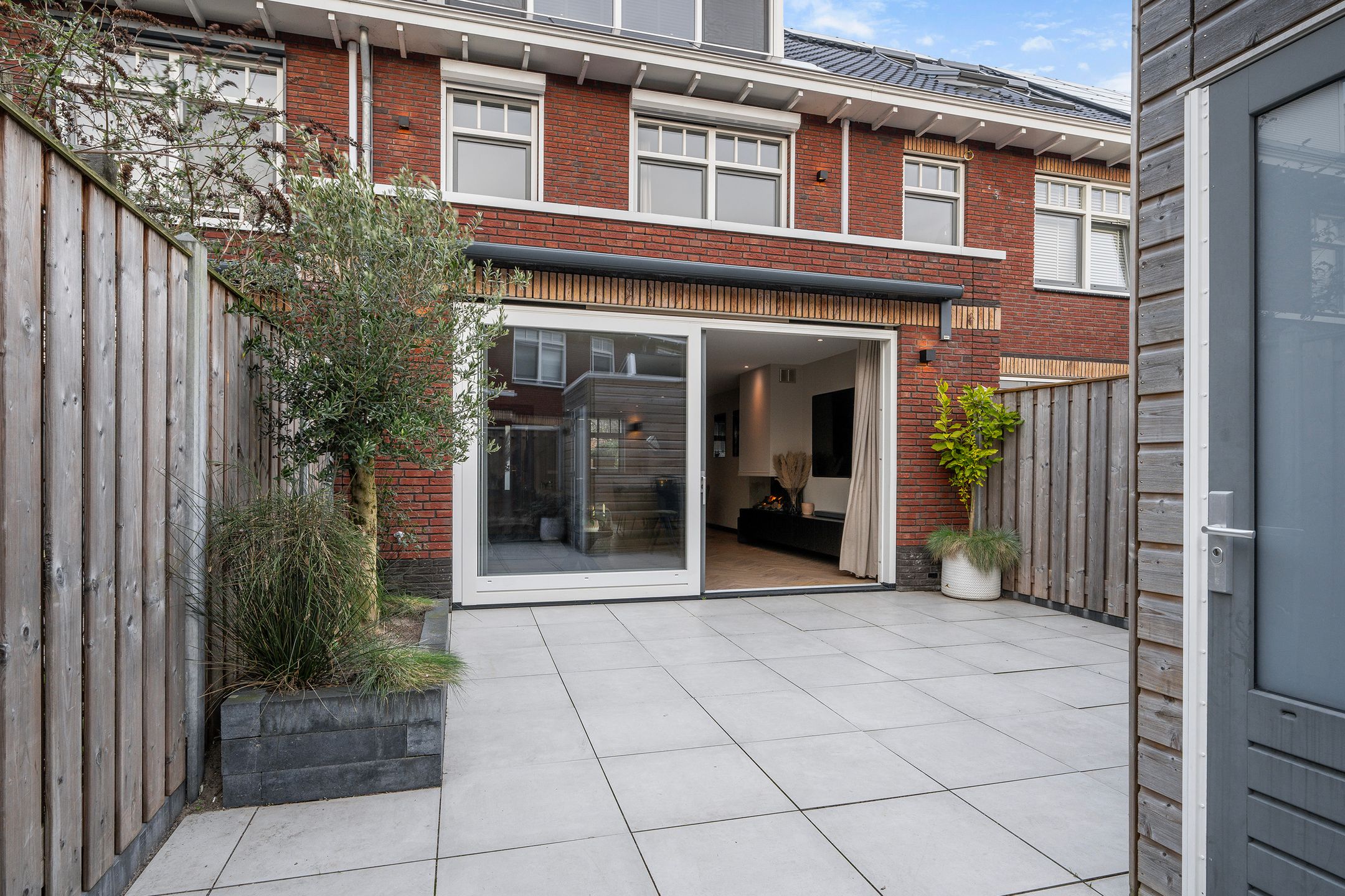 Photo 18 of Blauwe wijngaardrank 26