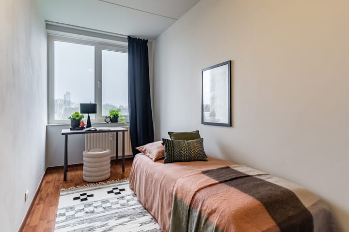 Foto 28 van Pisanostraat 178