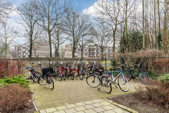 Foto 38 van Pisanostraat 178