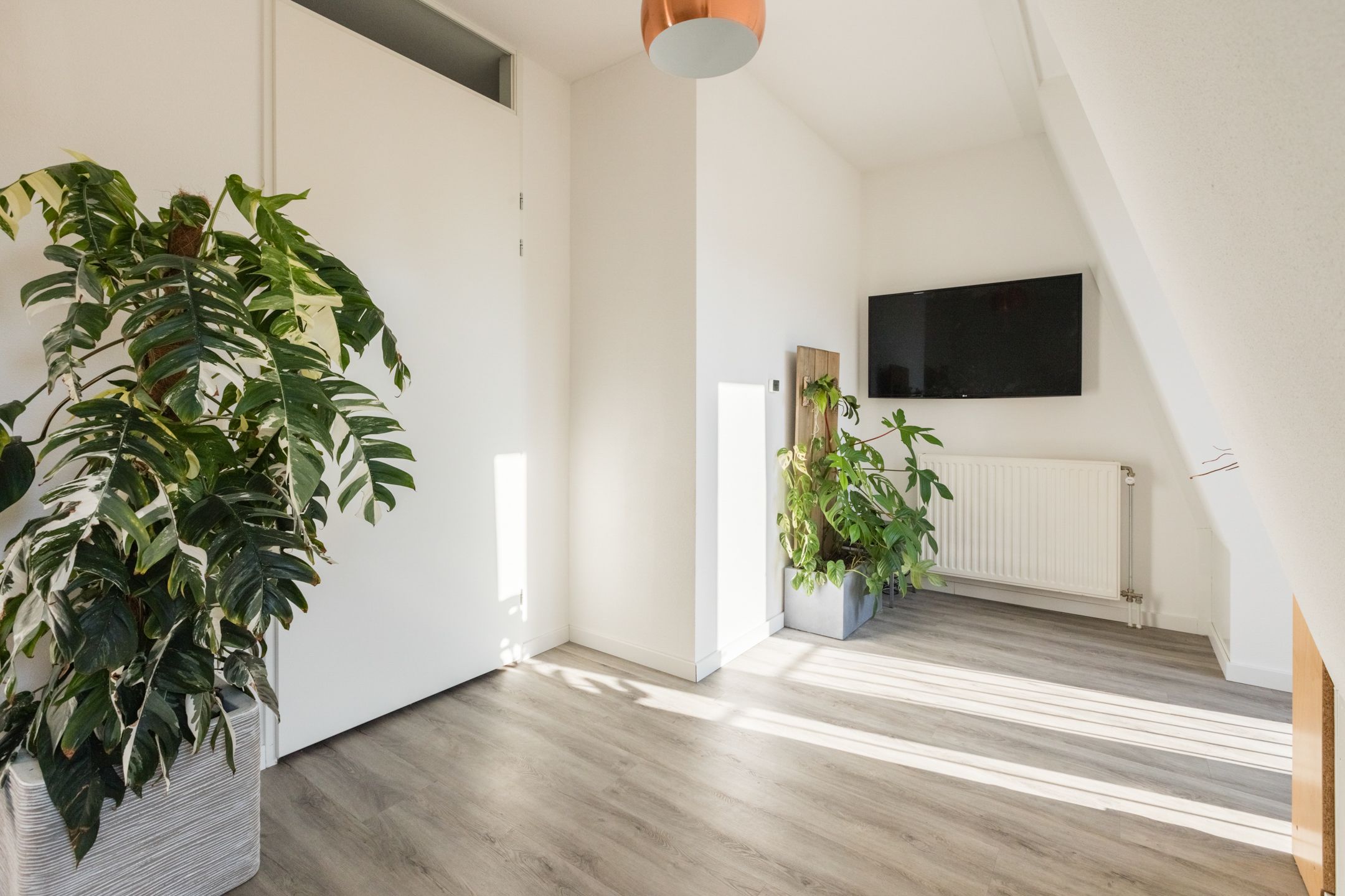 Foto 21 van Aspergeveld 41