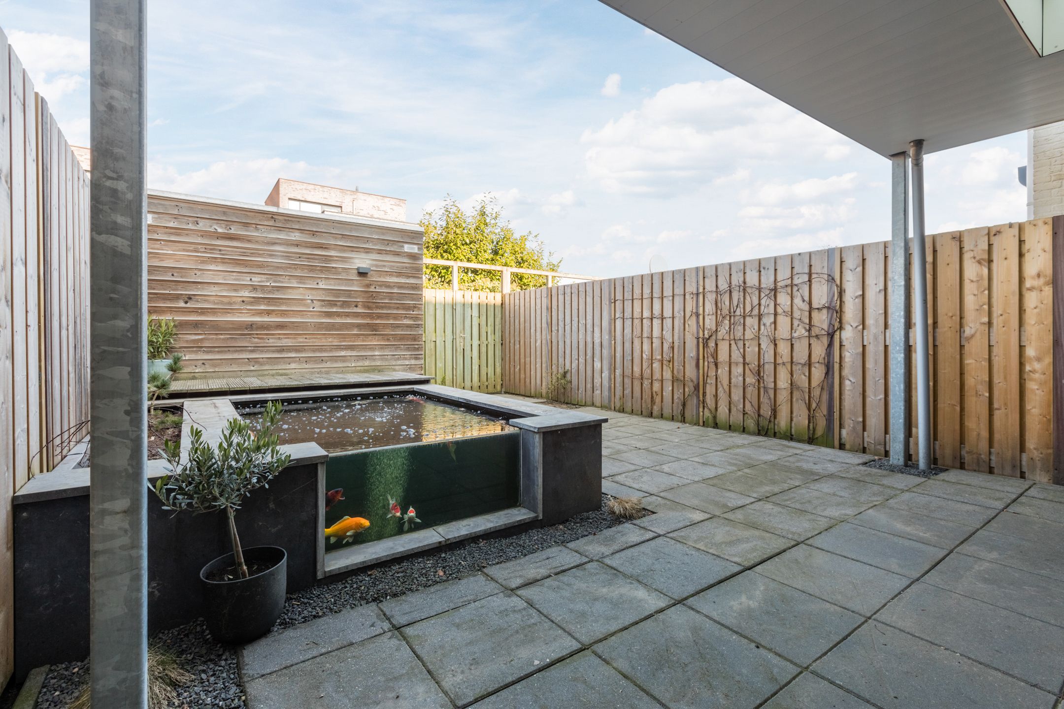 Foto 39 van Aspergeveld 41