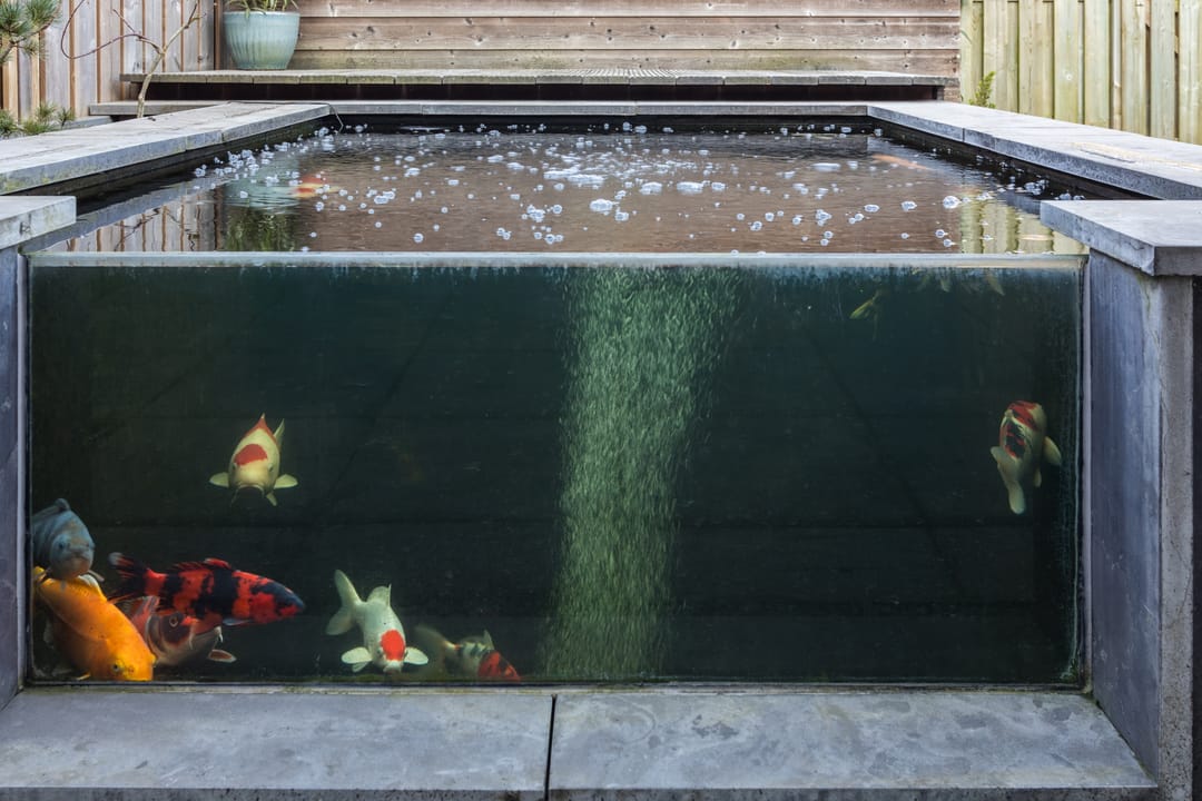 Foto 43 van Aspergeveld 41