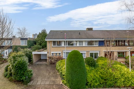 undefined main image