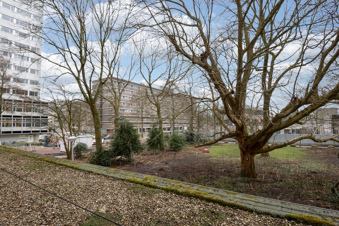 Foto 8 van Van Nijenrodeweg 256