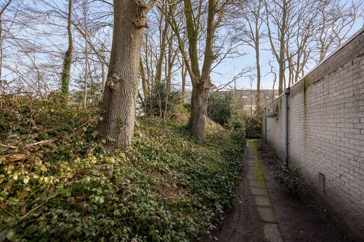 Foto 39 van Walstro 36