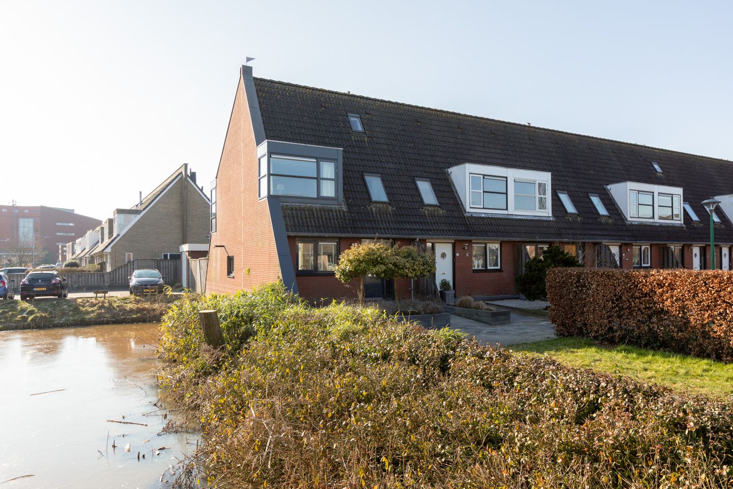 Foto 1 van Zandoogje 16