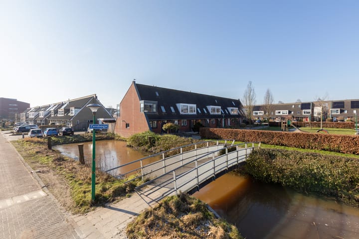 Foto 2 van Zandoogje 16