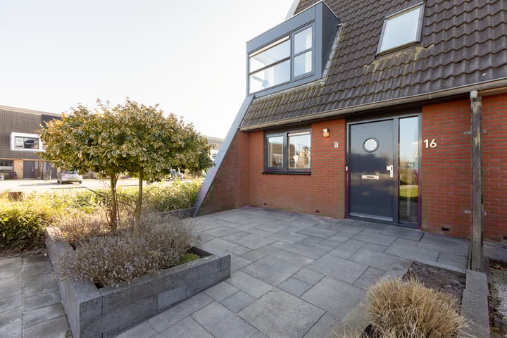 Foto 40 van Zandoogje 16