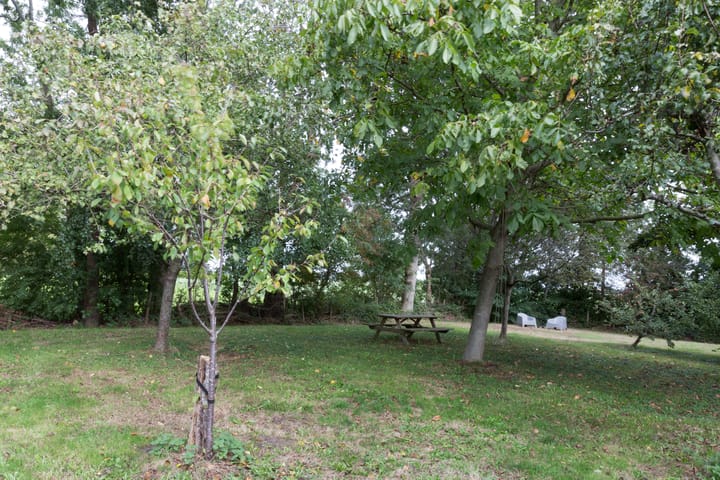 Foto 58 van Kooiweg 7