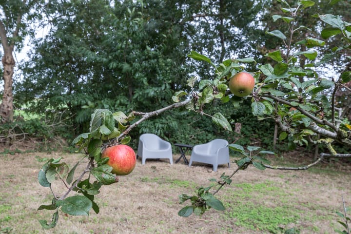 Foto 60 van Kooiweg 7