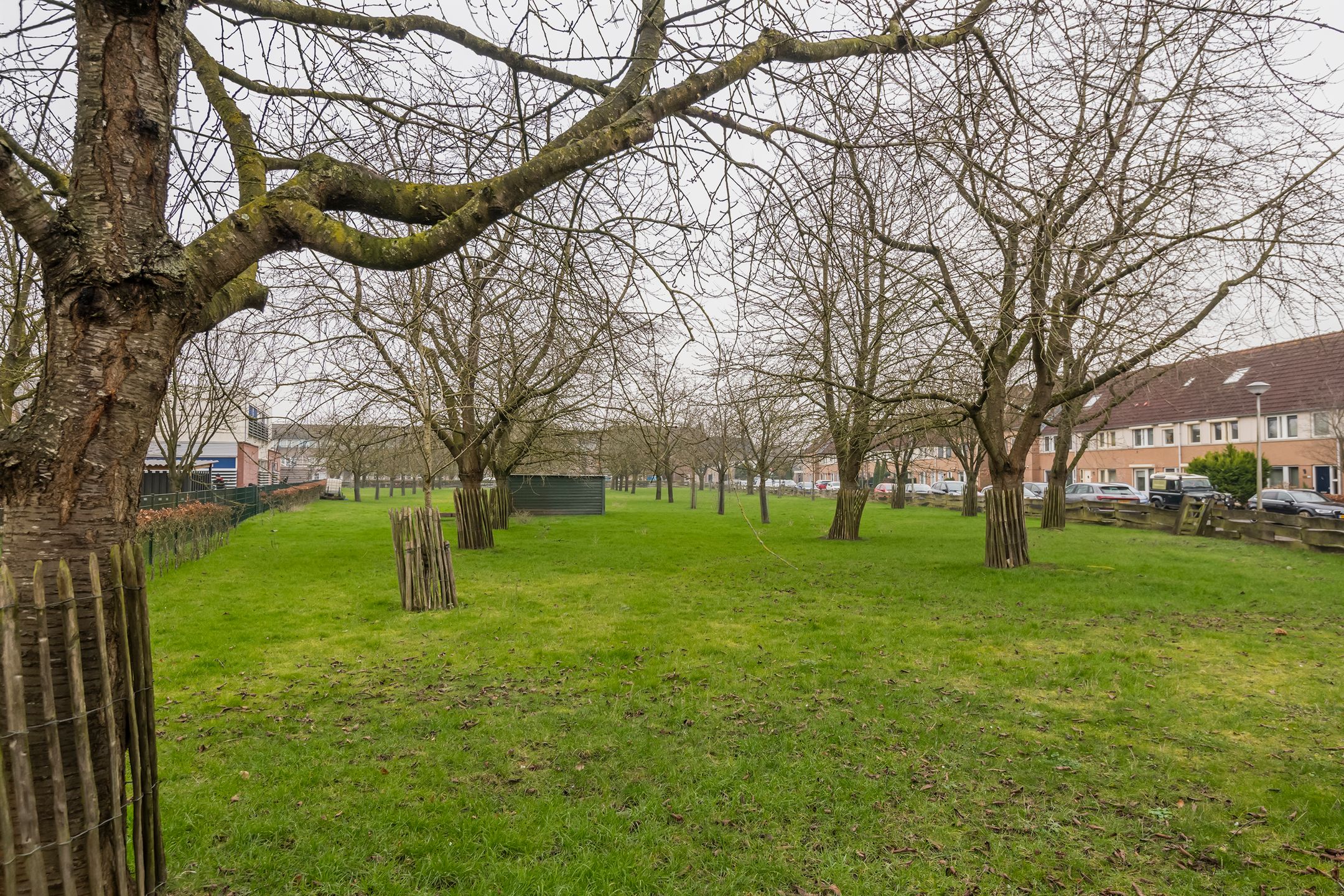 Photo 3 of J.H. L.-van Herwaardenstraat 69