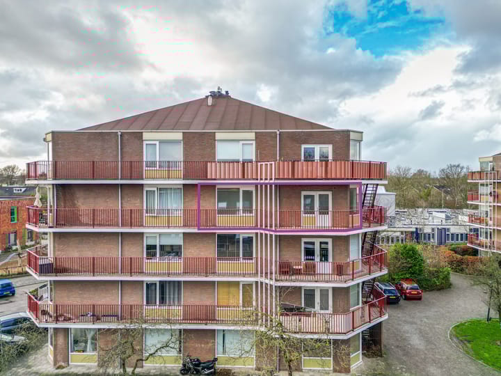 Foto 1 van Pluimgras 56