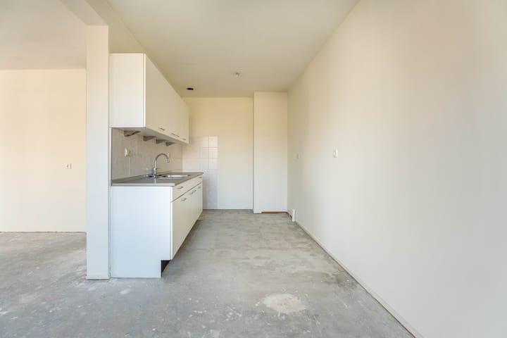 Foto 4 van Pluimgras 56