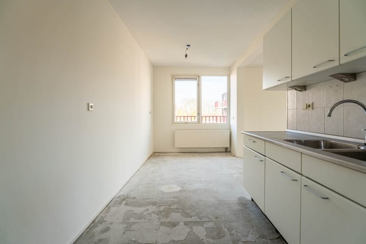 Foto 5 van Pluimgras 56