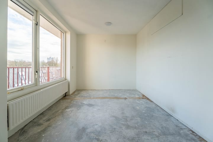 Foto 6 van Pluimgras 56